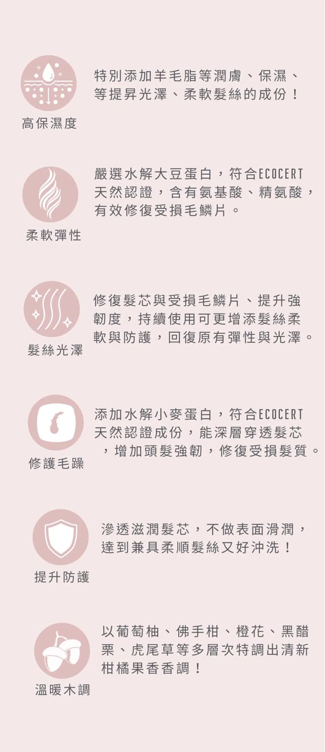 『療浴蒔光』🇹🇼MIT 高滲透潤澤修復菁華leave-in conditioner 300ml