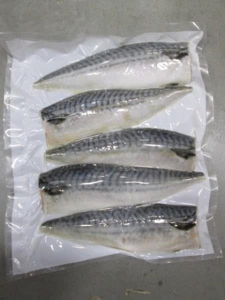 『其他冷凍食品』🇯🇵日式薄鹽鯖魚5片裝